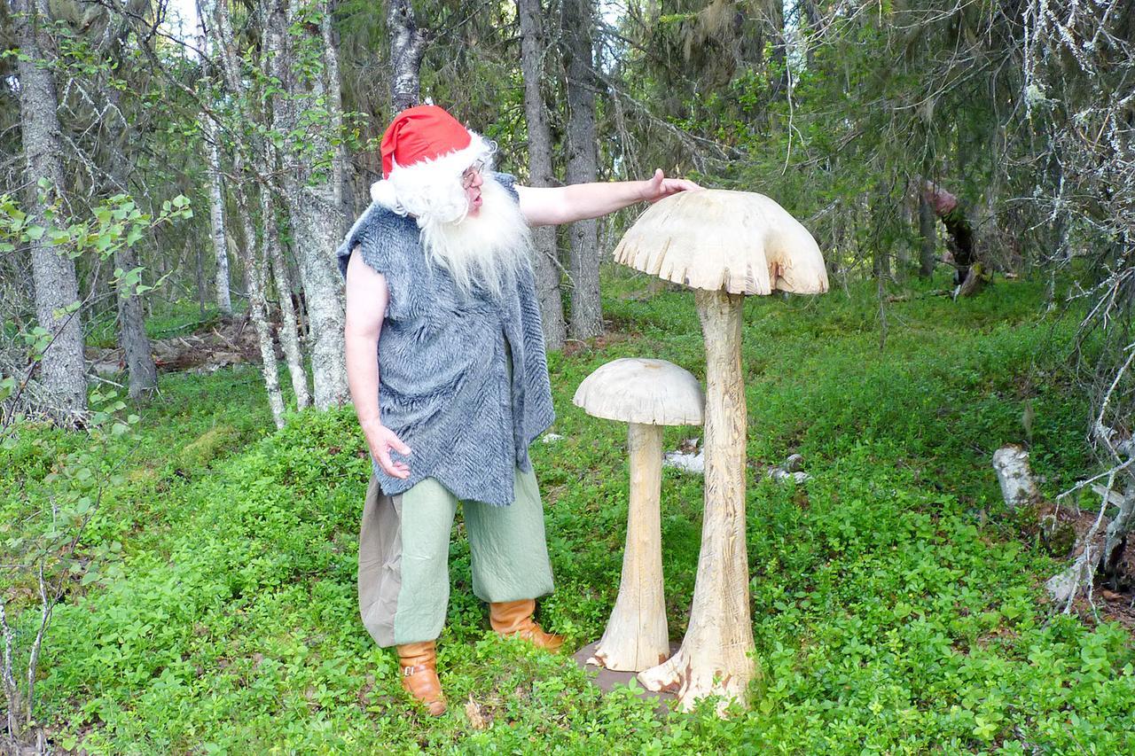 Elves Village Hotel Köngäs Buitenkant foto